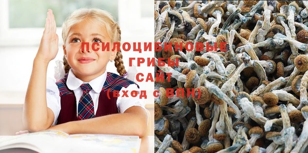 гидра Абинск