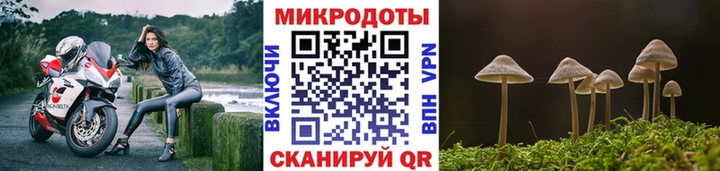 Псилоцибиновые грибы Psilocybe  Черемхово 