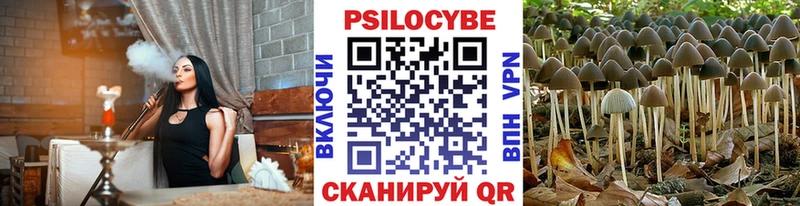 Псилоцибиновые грибы Psilocybe Черемхово